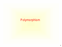 Chapter 5-Polymor.pdf